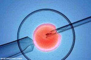 高龄代怀服务微信群